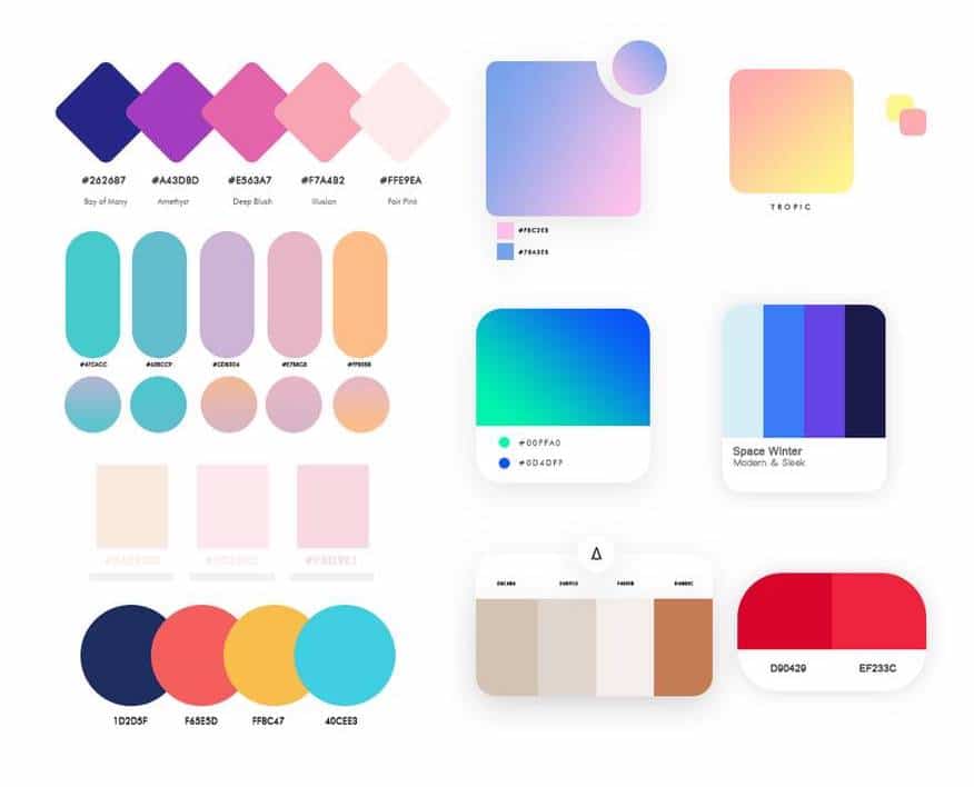 color palettes
